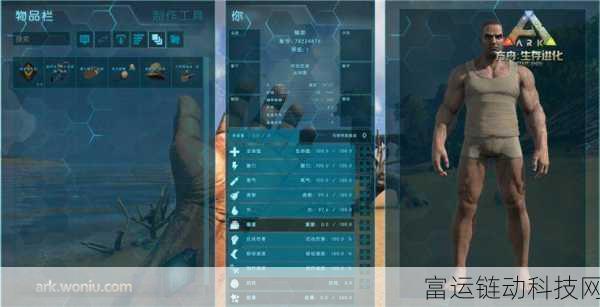 异环世界深度探索,揭秘主要角色属性与战斗策略