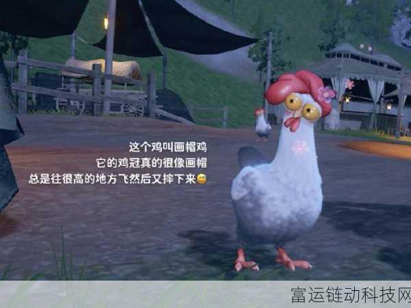 探秘无限暖暖,画帽鸡隐藏位置全揭秘