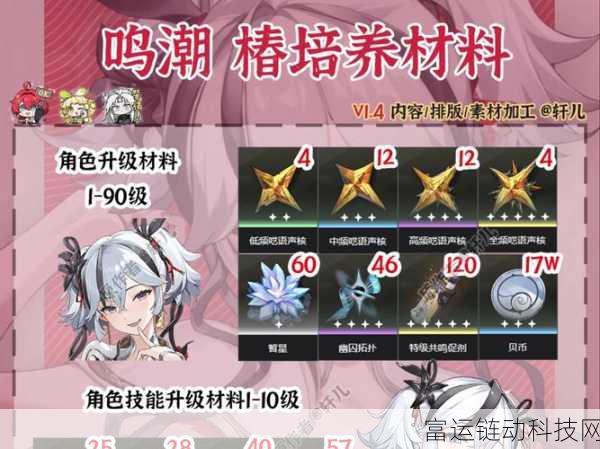 鸣潮角色深度解析,椿的属性定位与战斗特色全揭秘