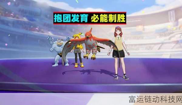 宝可梦大集结,全面解析战力查看技巧,助你赛场称霸