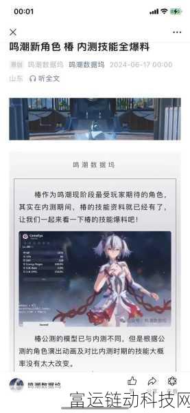 鸣潮角色深度解析,椿的培养材料与成长之路