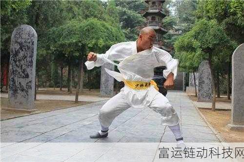 踏风行功法揭秘,轻功绝学的极致演绎与实战应用