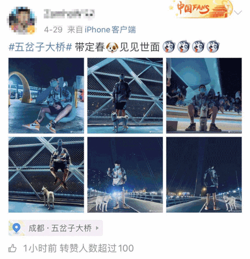 火环深度攻略,新手必知的玩法技巧与比赛细节揭秘