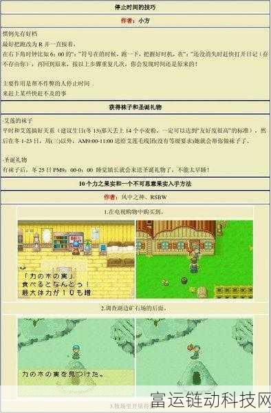 牧场物语重聚矿石镇，解锁隐藏道具与珍稀物品全攻略