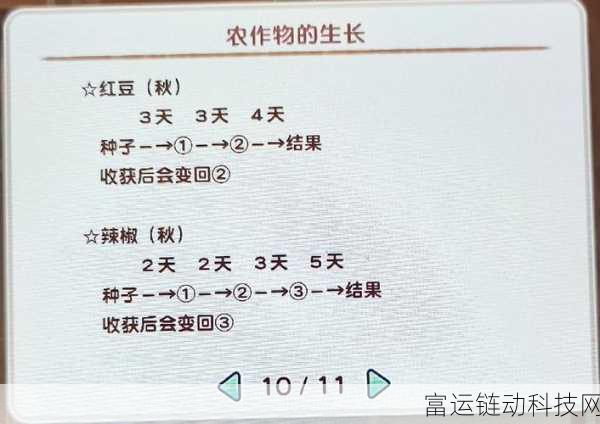 牧场物语重聚矿石镇,深度解析农作系统,打造你的梦幻田园