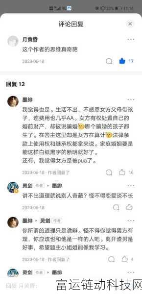 银与绯,深度玩法解析与精彩赛事速递