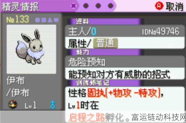 宝可梦大集结，叶伊布持有物搭配攻略，助你赛场称雄！