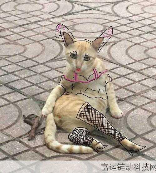 唱舞全明星惊喜爆料，性感猫咪变身套装震撼登场