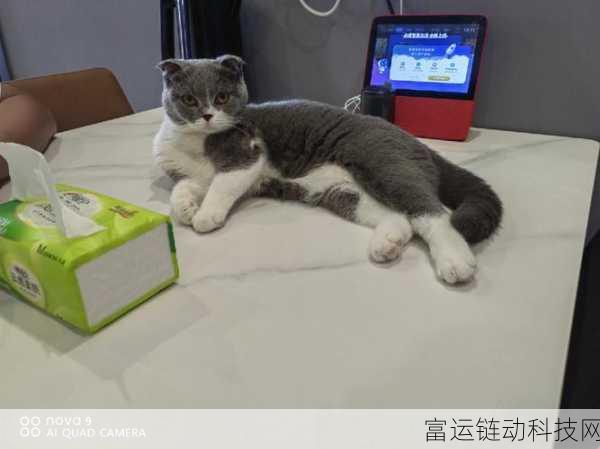 唱舞全明星惊喜爆料，性感猫咪变身套装震撼登场