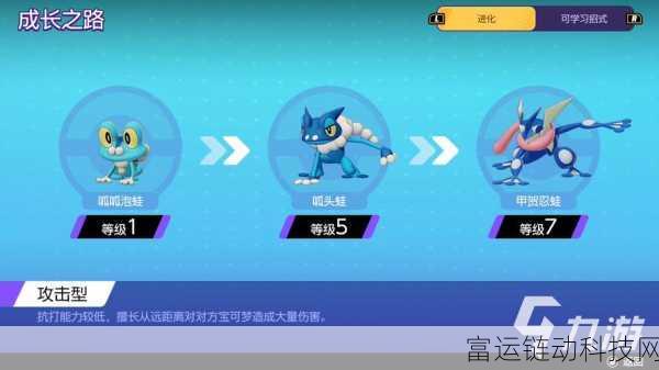 宝可梦大集结,玩法深度解析与游戏评测
