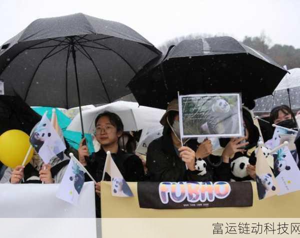 大熊猫捡到游客的伞还给撑开了:1. 大熊猫与游客的幽默邂逅:伞归还记