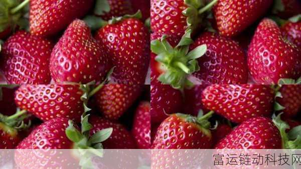 草莓视频高清视频：1. 草莓视频：畅享高清画质的视觉盛宴