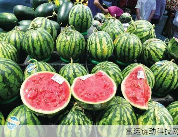 17c.com一起草吃瓜:1. 吃瓜群众的快乐:17c.com带你看热闹