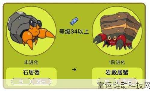 岩殿居蟹称霸宝可梦大集结!持有物搭配攻略大揭秘