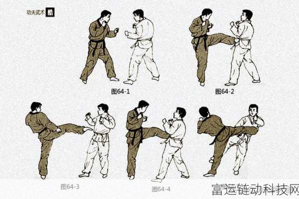 八重腿法娴熟:1. 八重腿法的深度解析与应用技巧