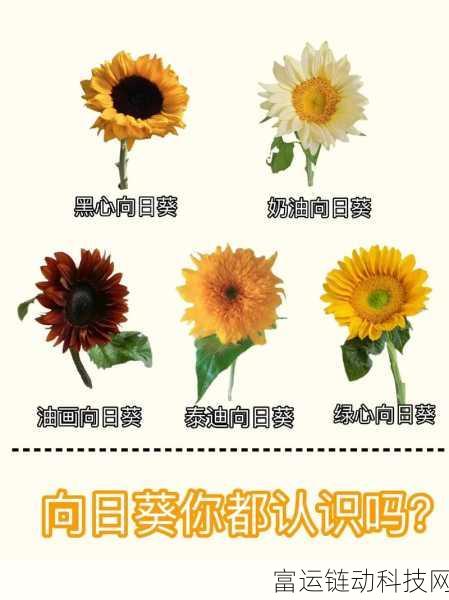 站长统计向日葵app网址进入免费:1. 免费获取向日葵APP的全新使用技巧与攻略