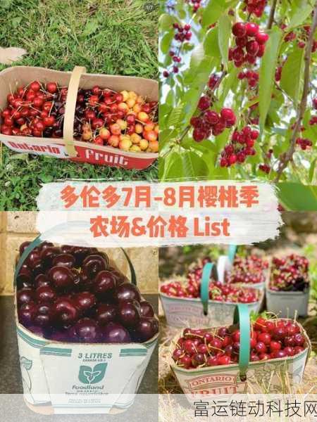 草莓A8视频:1. "草莓A8视频:揭秘健康美味的秘密