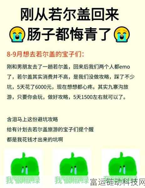探秘无限暖暖,动物毛团收集攻略大揭秘