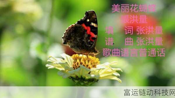 花蝴蝶视频下载:1. 花蝴蝶视频下载:轻松获取美丽瞬间