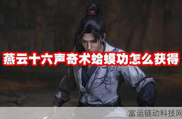 燕云十六声,高手必备操作技巧与深度解析