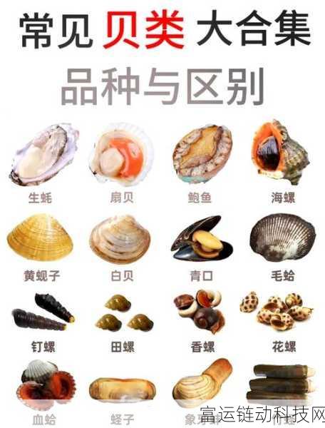 一人 上面 下感扇贝的文章:1. 探索扇贝的美味世界:从海洋到餐桌的旅程