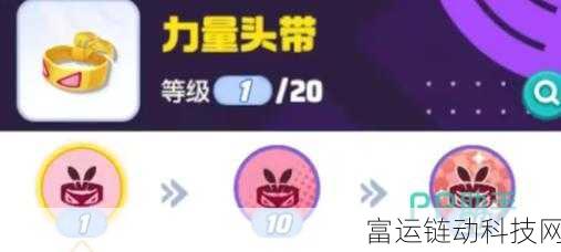 宝可梦大集结,持有物满级属性揭秘与强化策略指南