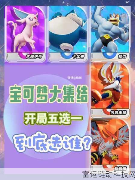 宝可梦大集结,独特特性解析与实战应用详解