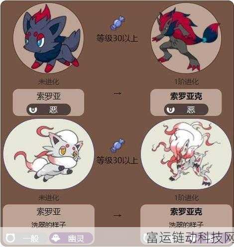 宝可梦大集结,索罗亚克实战攻略与连招秘籍