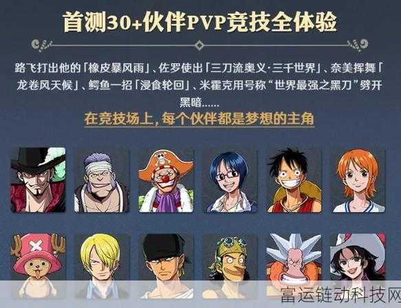 航海王壮志雄心,全面解析核心玩法与攻略秘籍