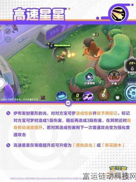 宝可梦大集结,月亮伊布持有物精选指南,助你赛场称霸