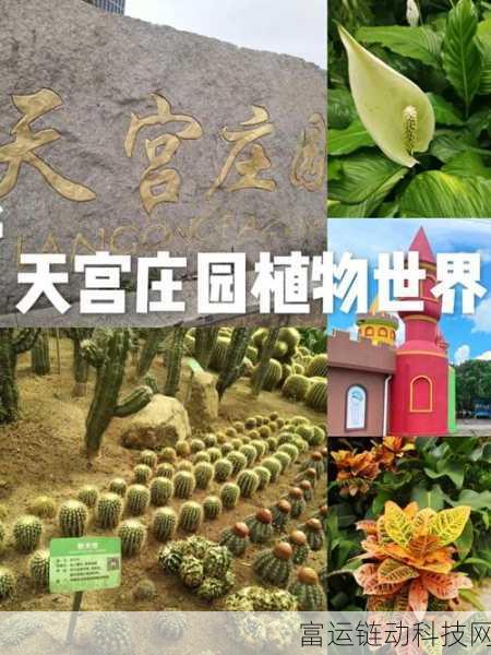 热门新游守护庄园下载预约全攻略，抢先体验庄园守护之旅！