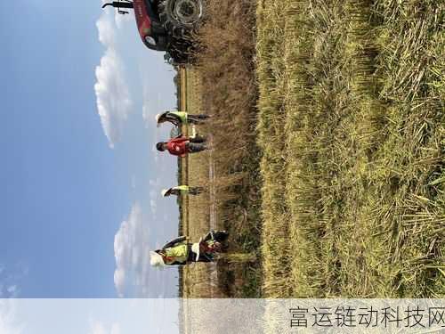 热门新游丰收之路下载预约全攻略，抢先体验农耕乐趣！