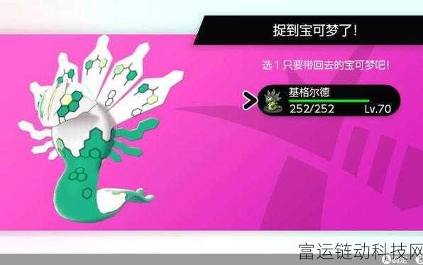 宝可梦大集结,基格尔德全面解析与实战玩法揭秘