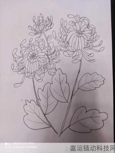 答错一题菊花放一支笔简隋英:1. 答错一题,菊花与笔的趣味较量