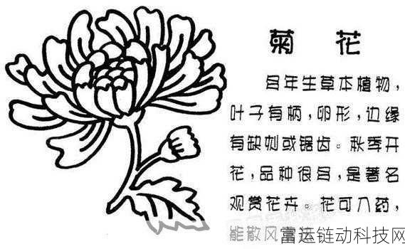答错一题菊花放一支笔简隋英:1. 答错一题,菊花与笔的趣味较量