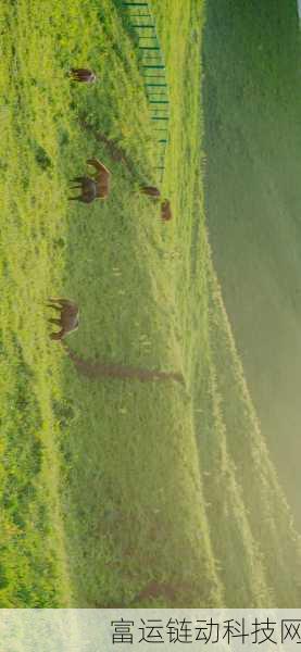 大长径视频1080p：1. ＂畅享1080p高清画质，体验大长径之美