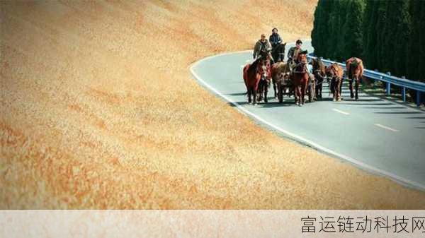 仙踪林Corporation大陆古装:1. 《仙踪林传奇:梦回古装神话