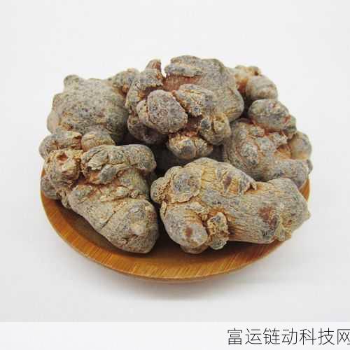 三七大但人文艺术免费1:1. 探索三七大但:人文艺术的无限魅力