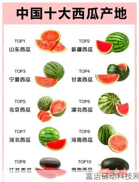 51cg10今日吃瓜-51cgfun吃瓜今日吃瓜-今日吃瓜51CG热门大瓜首页：1. 今日吃瓜最新动态：51CG独家揭秘热门话题