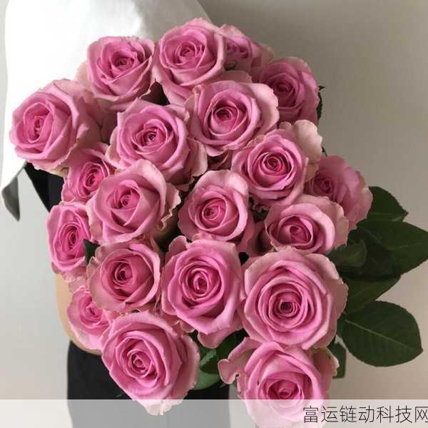 桃红色官方主打进口:1. 桃红色官方携手进口,畅享品质生活新选择