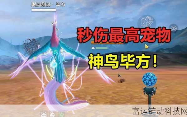妄想山海最新宠物排行:1. 妄想山海:2023年最强宠物排行揭晓
