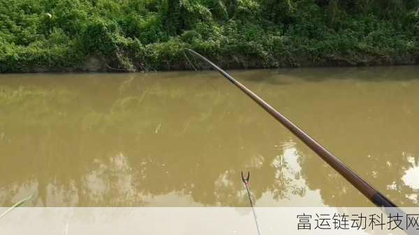 七日世界鱼潮涌动时间钓不上鱼:1. 鱼潮涌动却钓不上鱼的奇妙探秘