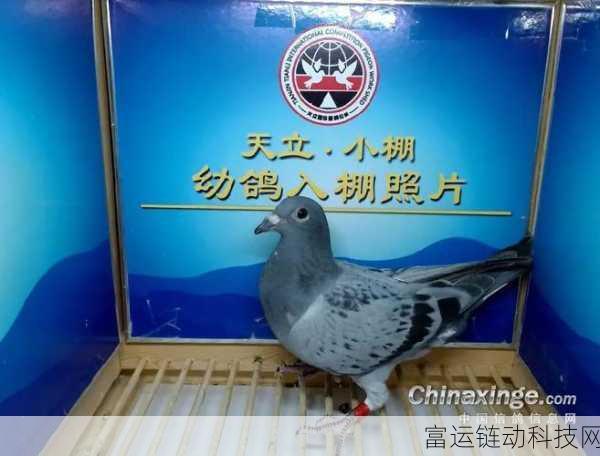 天南铜都秋棚小棚：1. 秋棚小馆：天南铜都的味蕾探秘之旅