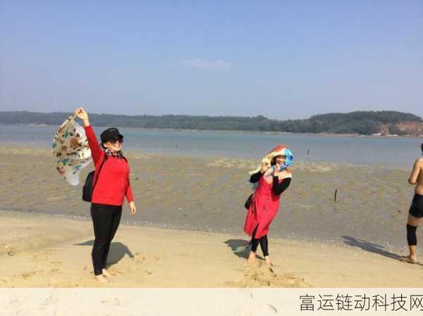 我的汉克狗海岛公测倒计时，探索神秘海岛，与萌宠共赴冒险之旅！
