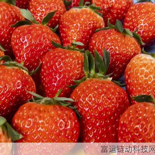 草莓黄色视频:1. 草莓黄视频:揭秘甜蜜与诱惑的完美结合