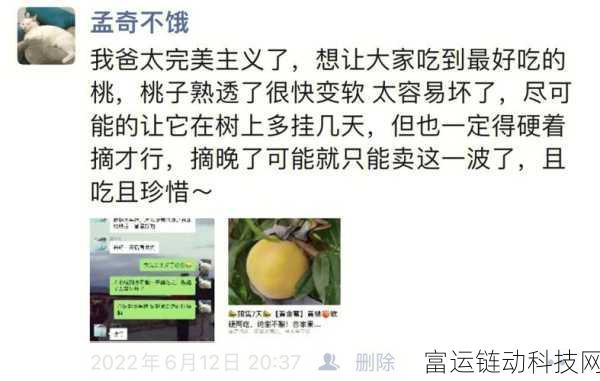 坤坤塞进桃子里:1. 坤坤的桃子冒险:水果与幻想的奇妙结合
