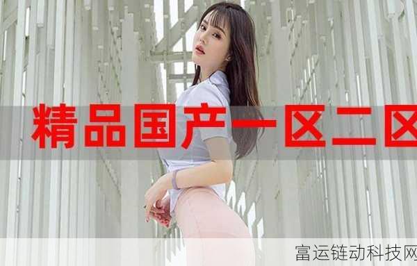 国精产品自偷自偷综合：1. 国精产品自偷自盗：背后的潜规则与真相