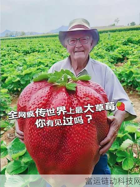 草莓视频看片:1. 草莓视频:探索无限精彩的短视频世界
