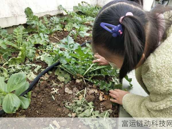 二人世界拨罗卜:1. 二人世界:拨罗卜的奇妙爱情之旅