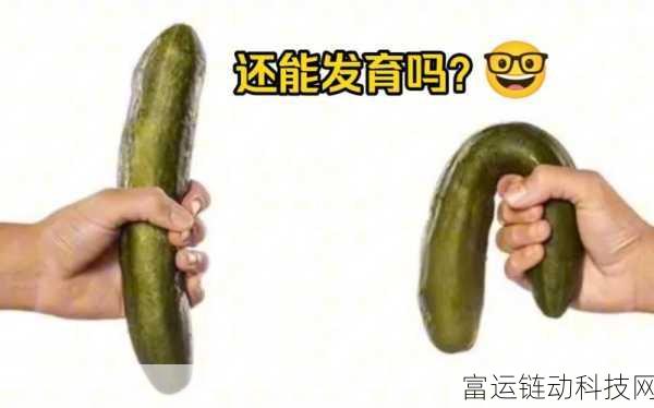 坤坤擢进桃子里:1. 坤坤与桃子:探寻甜蜜的秘密